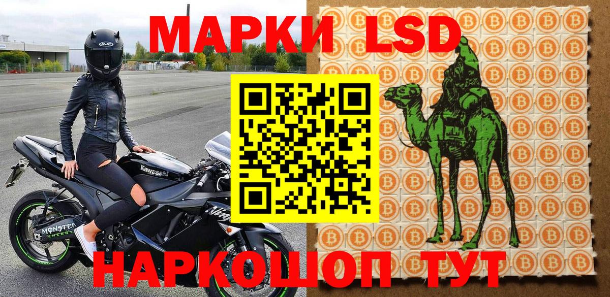 Марки NBOMe 1,5мг Владивосток