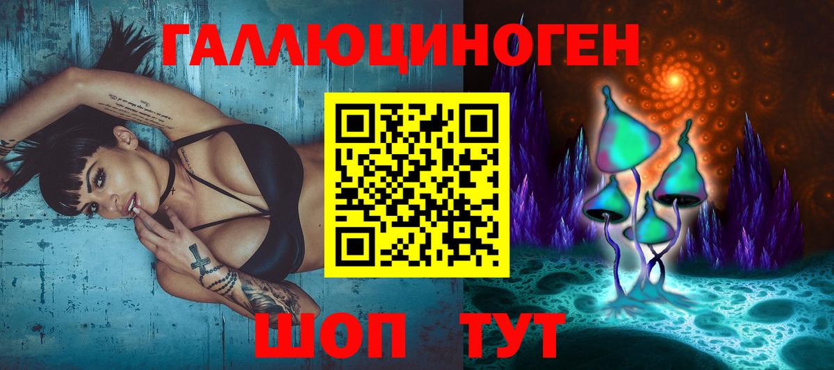 Галлюциногенные грибы Psilocybine cubensis Владивосток