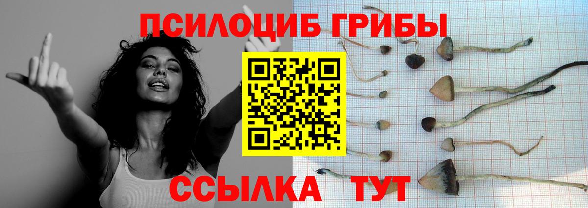 Галлюциногенные грибы GOLDEN TEACHER  Вход с VPN  Владивосток 